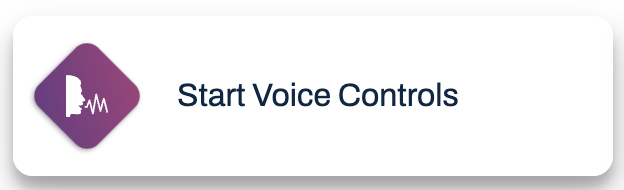 Start Voice Control Button Visual