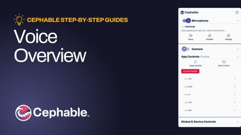 Voice Overview