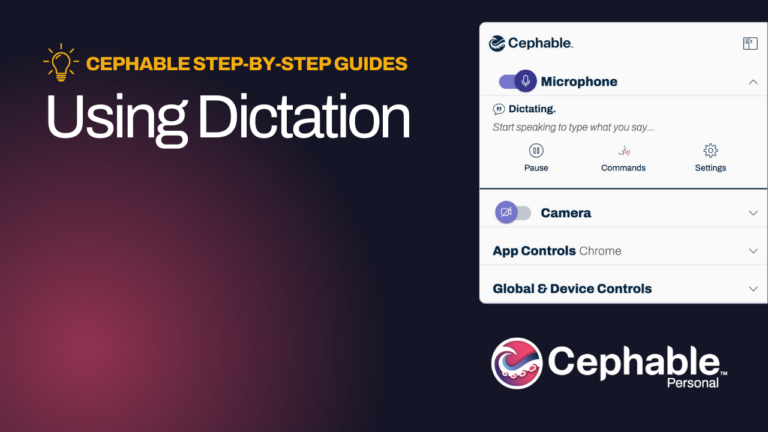 Dictation